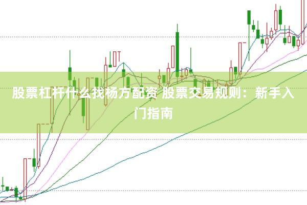 股票杠杆什么找杨方配资 股票交易规则：新手入门指南