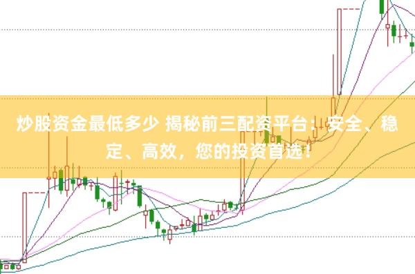 炒股资金最低多少 揭秘前三配资平台：安全、稳定、高效，您的投资首选！