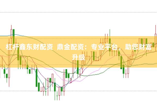 杠杆鑫东财配资  鼎金配资：专业平台，助您财富升级