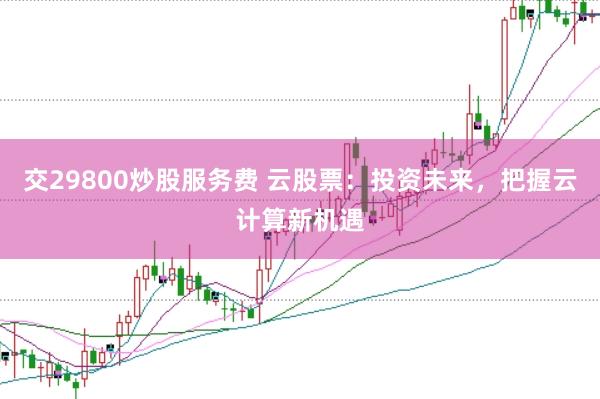 交29800炒股服务费 云股票：投资未来，把握云计算新机遇