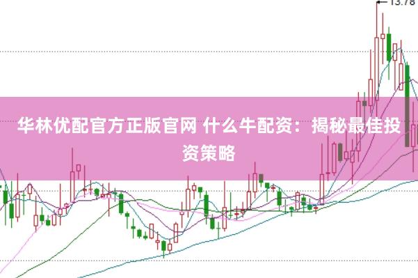 华林优配官方正版官网 什么牛配资：揭秘最佳投资策略