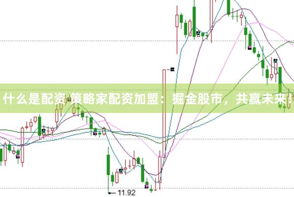 什么是配资 策略家配资加盟：掘金股市，共赢未来！