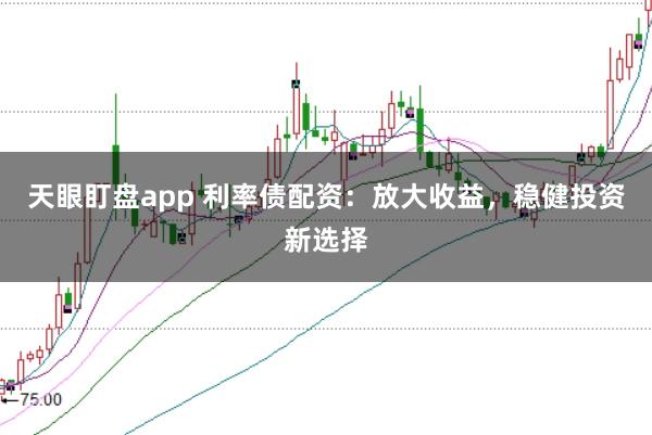 天眼盯盘app 利率债配资：放大收益，稳健投资新选择