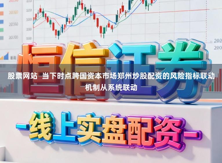 股票网站  当下时点跨国资本市场郑州炒股配资的风险指标联动机制从系统联动