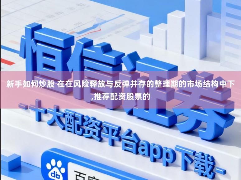 新手如何炒股 在在风险释放与反弹并存的整理期的市场结构中下,推荐配资股票的