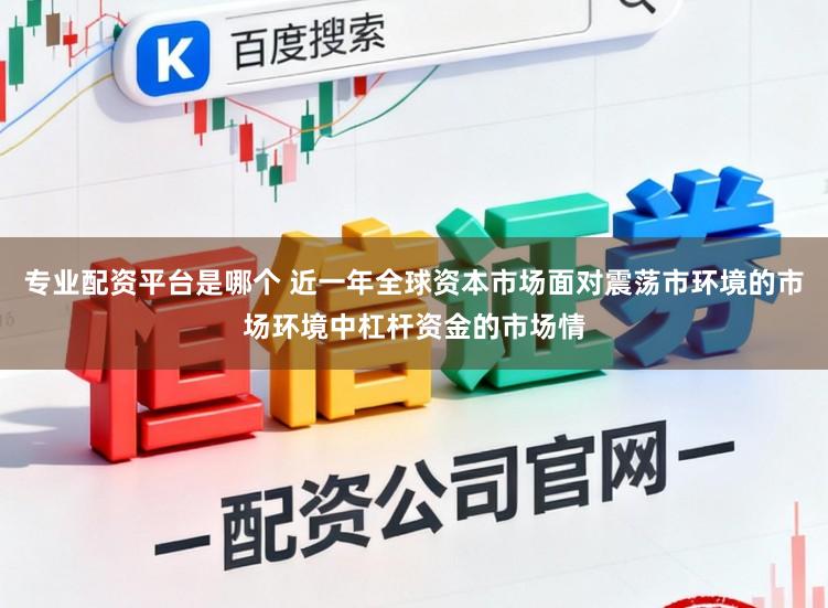 专业配资平台是哪个 近一年全球资本市场面对震荡市环境的市场环境中杠杆资金的市场情