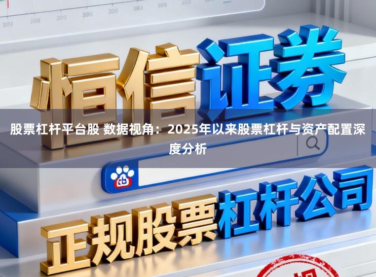 股票杠杆平台股 数据视角：2025年以来股票杠杆与资产配置深度分析